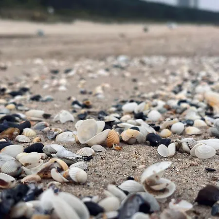 度假居 Dom Nad Legami *